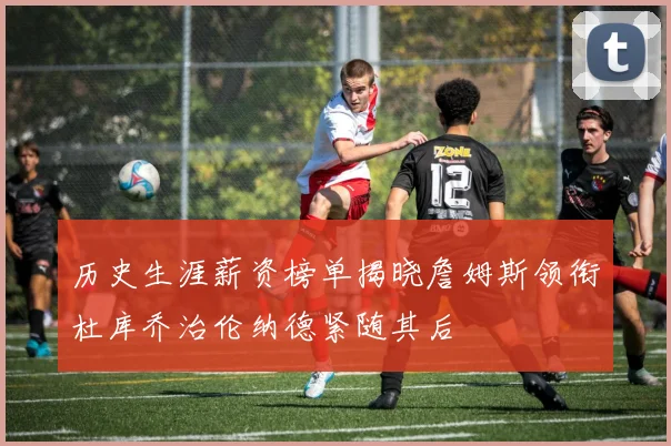 历史生涯薪资榜单揭晓詹姆斯领衔杜库乔治伦纳德紧随其后