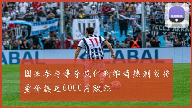 国米参与争夺武什科维奇热刺或将要价接近6000万欧元